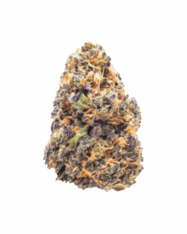 Purple Punch
