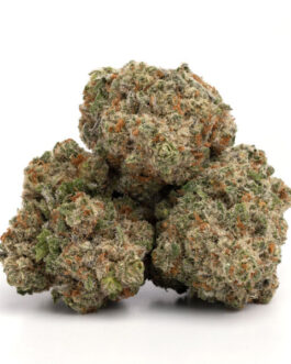 Jack Herer